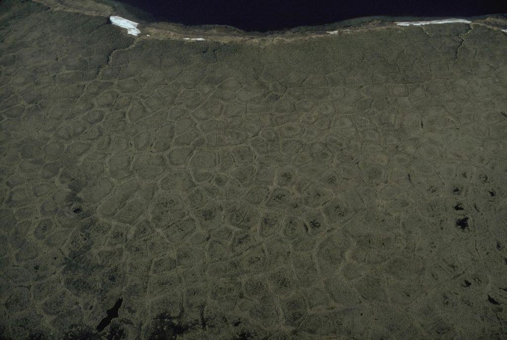 open tundra landscape over permafrost terrain